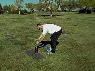 Dwight placing the yellow tulips