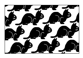 Cat-Dove Illusion