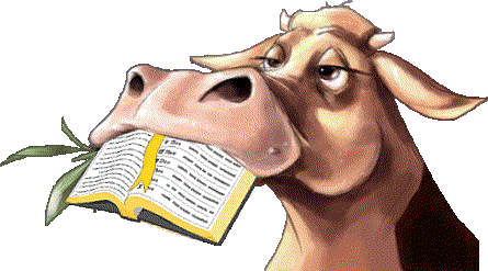 Cow with Bible